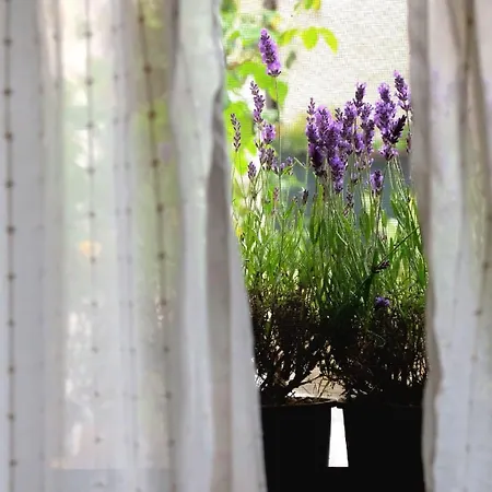 Sotto Le 3 Torri Appartamento *