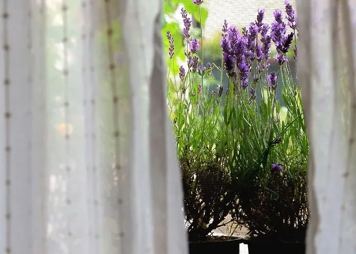 Sotto Le 3 Torri アパート *